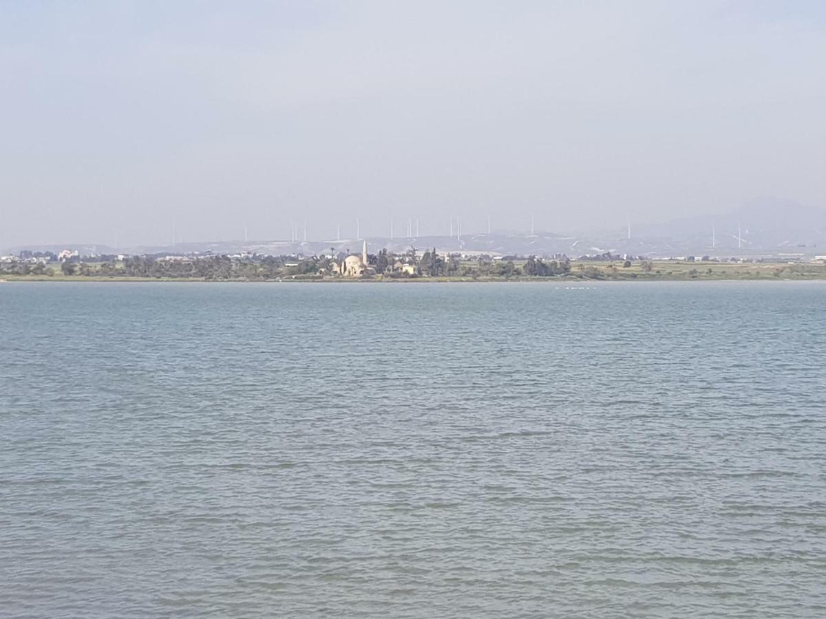 Haig'S Dream Flat On The Beach Larnaca Exterior foto
